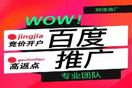 成功案例分享：SEM竞价代运营策略解析